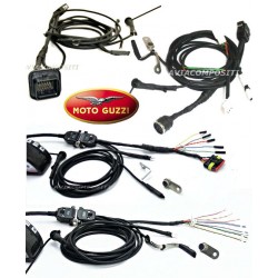 Harness choice for Guzzi